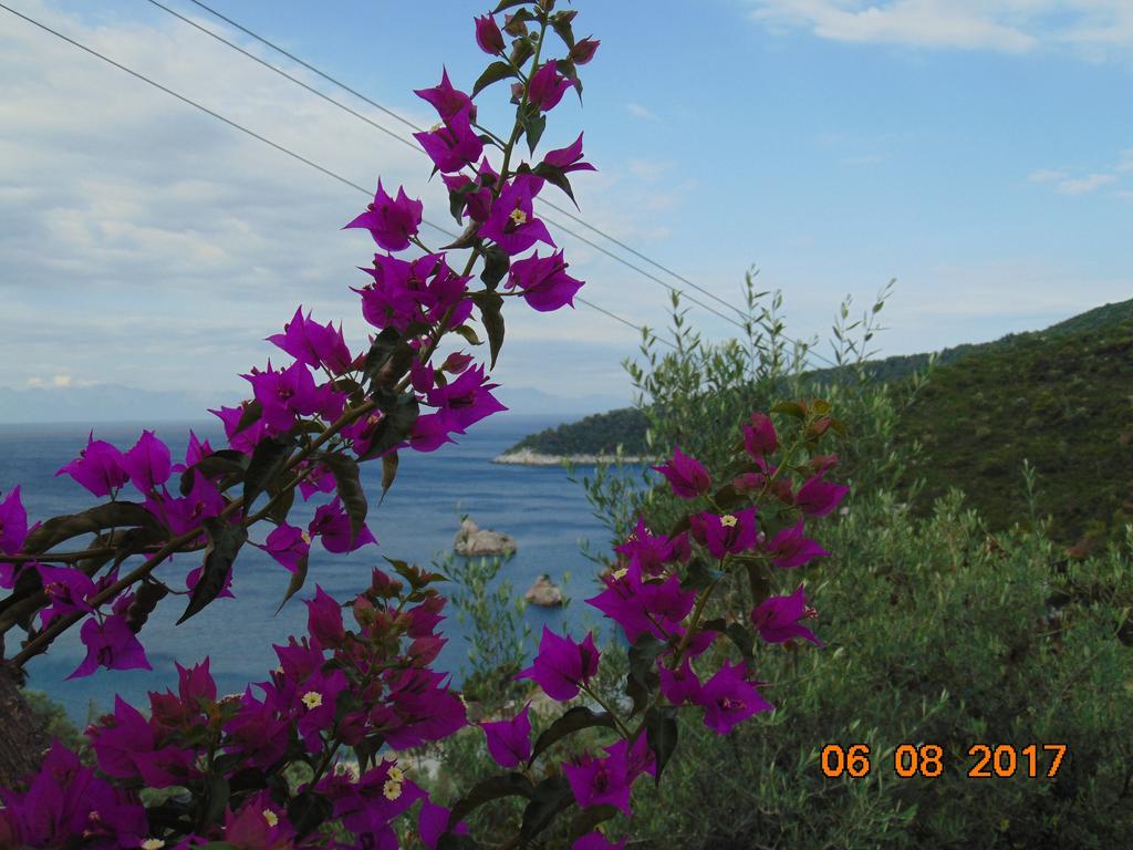 Pigi Cottage Stafylos Exterior photo